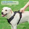 TobeDRI No Pull Dog Harness